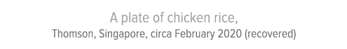 A plate of chicken rice, Thomson, Singapore, circa February 2020 (recovered)